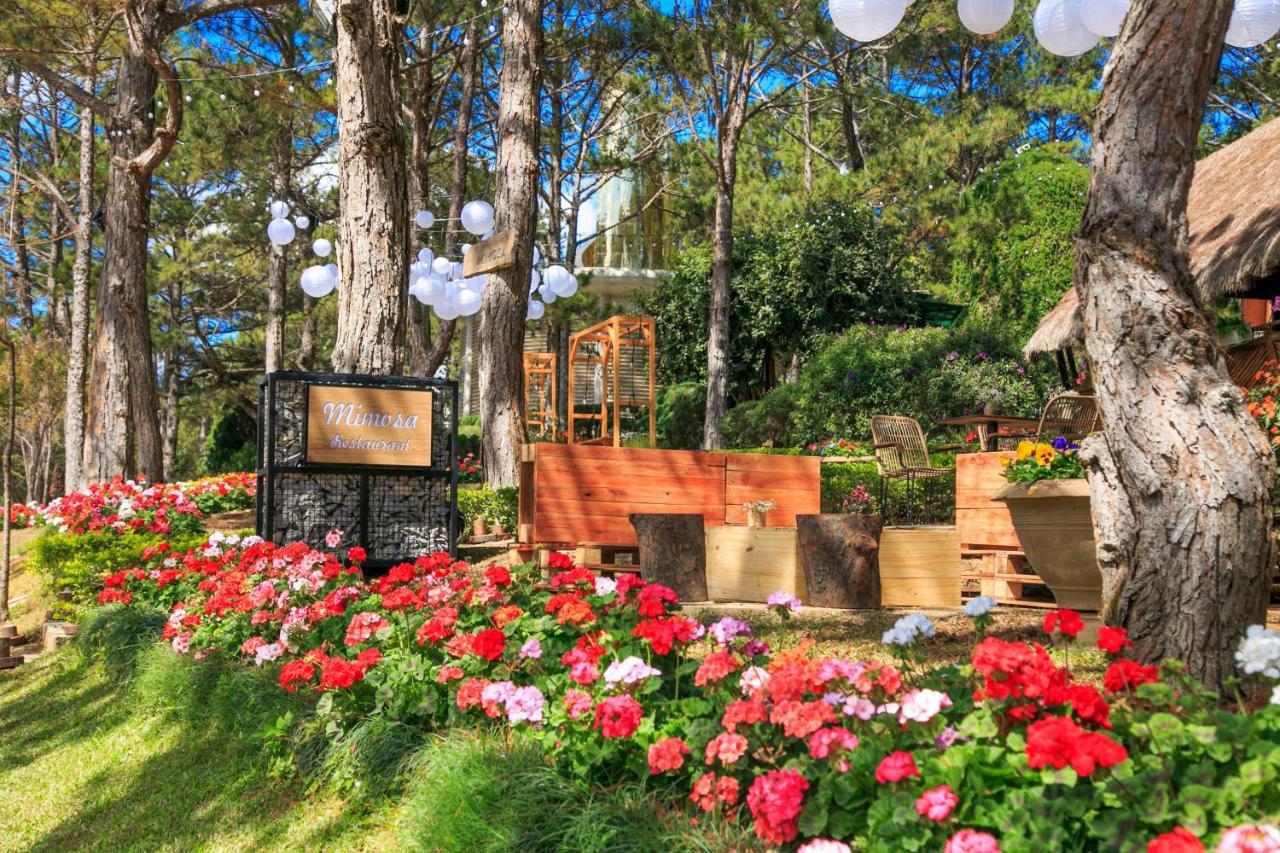 Ttc Dreamy Hill Resort - Unlimited Access To Ttc World - Thung Lung Tinh Yeu Dalat Luaran gambar