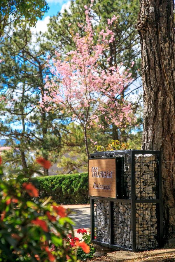 Ttc Dreamy Hill Resort - Unlimited Access To Ttc World - Thung Lung Tinh Yeu Dalat Luaran gambar