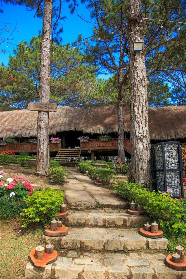 Ttc Dreamy Hill Resort - Unlimited Access To Ttc World - Thung Lung Tinh Yeu Dalat Luaran gambar