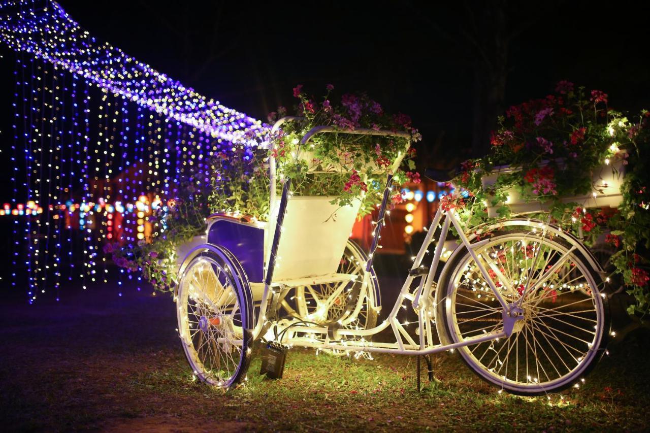 Ttc Dreamy Hill Resort - Unlimited Access To Ttc World - Thung Lung Tinh Yeu Dalat Luaran gambar